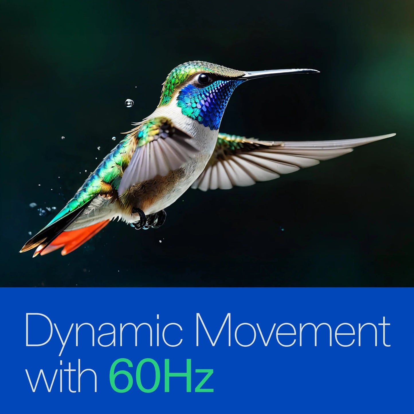 50” Class 4K UHD Roku Smart Television, 100012585 - Techlyn